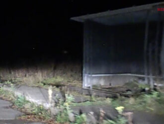 В селе Игодово Островского района заметили рысь