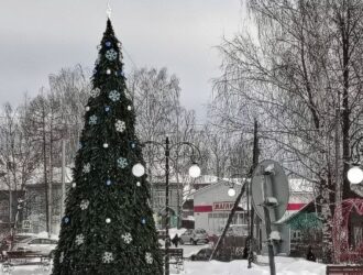 В Островском завершили установку главной новогодней елки округа