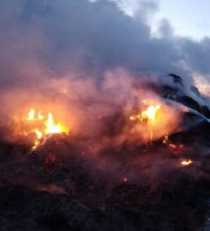 В деревне Григорово Сусанинского района огнем было уничтожено сено в рулонах