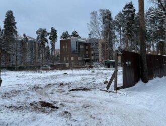 Житель Ленинградской области обратился к губернатору по факту вырубки вековых сосен в центре Всеволожска
