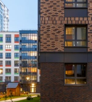 Санкт-Петербург вошел в ТОП регионов по выводу новых проектов на рынок в 2025 году