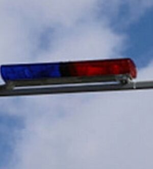 На автодороге Кострома — Буй установили шериф-балку