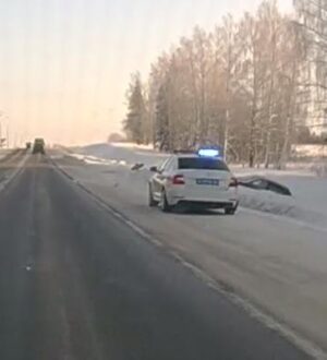 В Костромском районе на федеральной трассе легковой автомобиль снес дорожный знак и вылетел в кювет