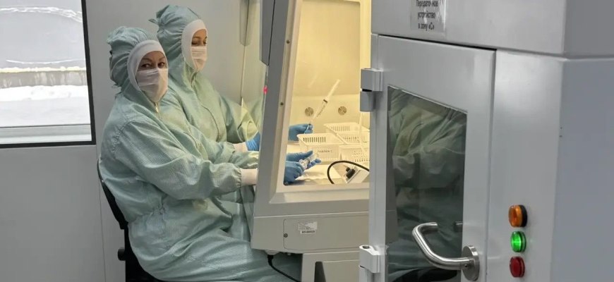 На исследования российского гидрогеля для восстановления костей, мягких тканей и нервов направят 120 млн рублей