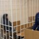 В Костроме завершено расследование уголовного дела в отношении женщины, обвиняемой в финансировании терроризма
