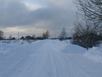 Жителей костромского села подключили к высокоскоростному интернету