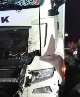 Двое взрослых и три ребенка погибли в результате ДТП в Костромской области