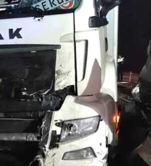 Двое взрослых и три ребенка погибли в результате ДТП в Костромской области