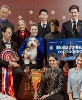 1 и 2 августа в Санкт-Петербурге состоится выставка «Лучшие собаки России. Шоу чемпионов»