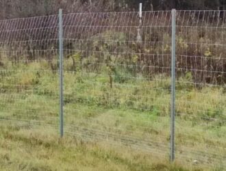 Новые ограждения от лосей появятся на автомобильной дороге Кострома — Сусанино — Буй