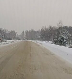 На автодороге Судиславль — Сырнево приступили к вырубке кустарников и мелколесья