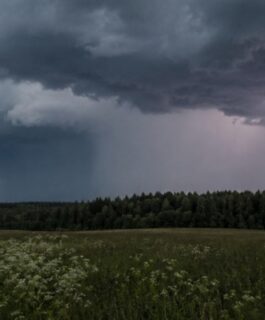 В Костромской области прогнозируется ухудшение погоды