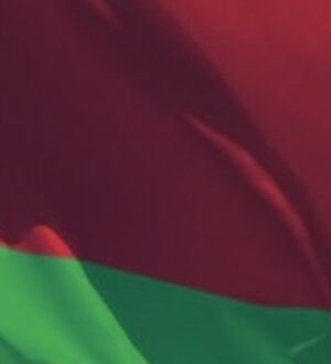 В 2023 году компания МТЗ увеличила поставки тракторов и сельскохозяйственной техники в Россию почти на половину