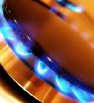 Свыше 30 населенных пунктов газифицировали в Подмосковье