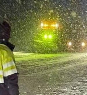 В Костромскую область пришли снегопады и метели