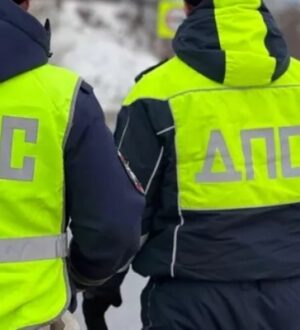 Под Костромой сотрудники ДПС и проезжающие мимо люди помогли девушке устранить неисправность в автомобиле