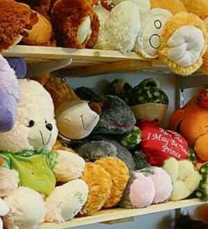 В Ярославской области зафиксирован рост цен на игрушки