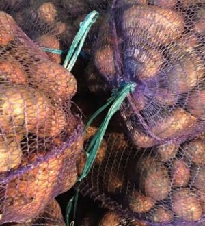 Благодаря мерам господдержки российские фермеры увеличивают объемы выращиваемых овощей и ягод