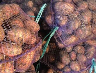 Благодаря мерам господдержки российские фермеры увеличивают объемы выращиваемых овощей и ягод