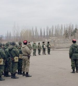 Перечень публикаций о работе 6-й отдельной гвардейской казачьей Лисичанской мотострелковой бригады имени Матвея Платова