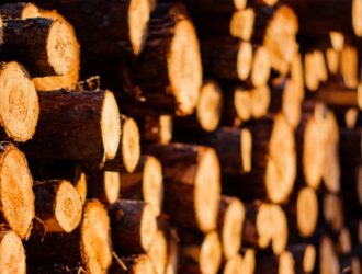 Российский рынок пиломатериалов: изменения ценовой политики в 2023 году