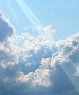 Первая апрельская гроза прогремела в Костромской области