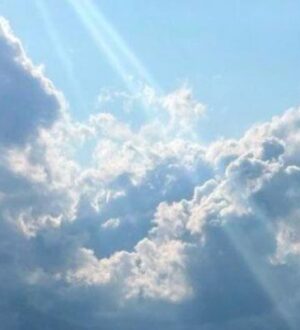 К выходным в Костромской области ожидается потепление