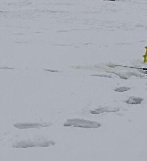 Судиславские рыбаки игнорируют запрет и выходят на тонкий лёд