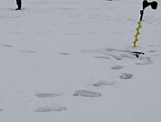 Судиславские рыбаки игнорируют запрет и выходят на тонкий лёд