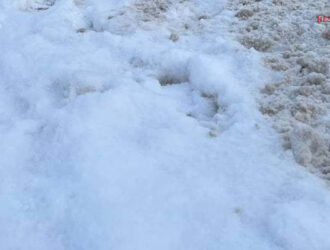 «Вся система сгнила»: активист Костров о сугробах возле памятников блокадникам и ветеранам