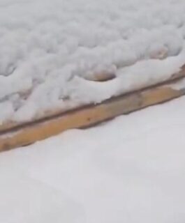 Кадыйский округ Костромской области засыпало снегом