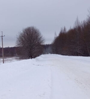 В Судиславском округе дорожные службы ведут работы по расчистке снега