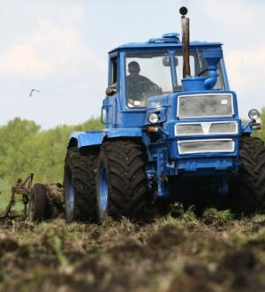 В Московской Коломне повышают объём клубники