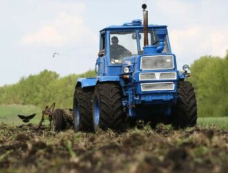 В Московской Коломне повышают объём клубники
