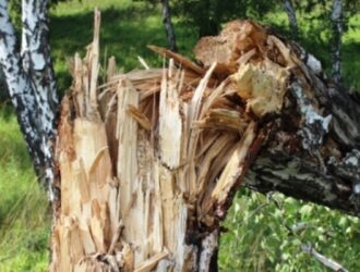 В Вохомском районе Костромской области прошёл ураган