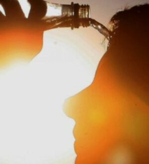 Земля продолжает бить температурные рекорды, и это несет серьезные последствия для нашей планеты