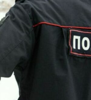 В Ленинградской области сотрудники Госавтоинспекции применяли табельное оружие для задержания водителя-нарушителя