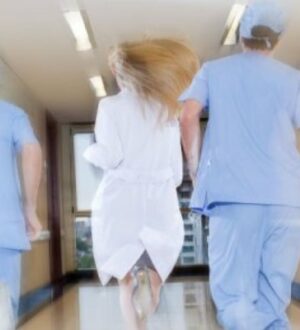 Сотрудниками полиции проводится проверка по факту ДТП со смертельным исходом во Всеволожском районе