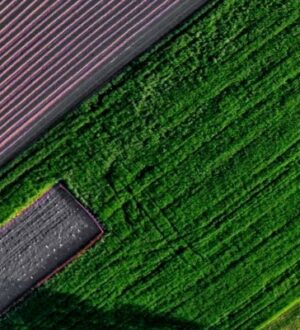 В регионах России льготникам активно предоставляют земельные участки под строительство