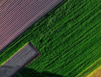 В регионах России льготникам активно предоставляют земельные участки под строительство